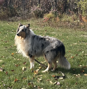 Skye